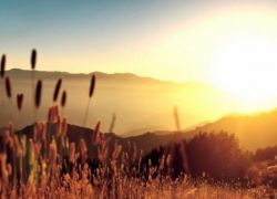حالة الطقس: اجواء شديدة الحرارة