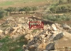 مستوطنون يقطعون 40 شجرة زيتون في مخماس شمال القدس