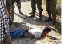 اعتقال فلسطيني بحوزته سكين قرب مستوطنة بساغوت