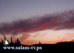 حالة الطقس: يطرأ انخفاض على درجات الحرارة حالة الطقس: يطرأ انخفاض على درجات الحرارة