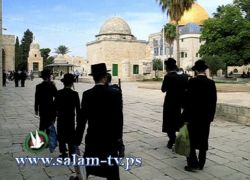 تحذير من اقتحام المسجد الأقصى غداً ودعوات عاجلة لإنقاذه
