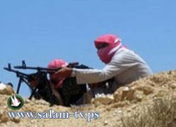 البدو يحتجزون حافلتين بسيناء والمحكمة تقرر اعادة الانتخابات بجنوبها