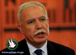 المالكي: المفاوضات حول تشكيل حكومة جديدة ستبدأ بعد تحديد موعد الانتخابات