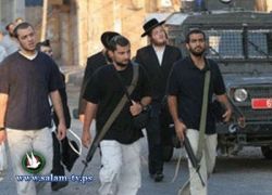 مستوطنون يعتدون بالضرب على طفلة وشقيقها في البلدة القديمة من الخليل