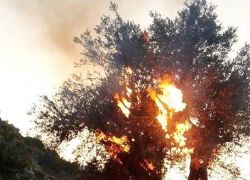حريق في باب الواد غربي القدس