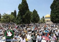 أكثر من 320 الف مصل أموا المسجد الاقصى