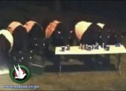 قطيع بقر يقتحم حفلا في حديقة منزل ويشرب كل الكحول!
