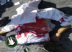 بالفيديو : مصرع 11 قتيلا و4 اصابات في حادث سير مروع شرق طولكرم