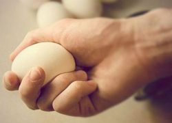 شاب تونسي اكل 28 بيضه وخسر الرهان !!