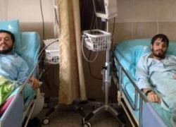 التغذية القسرية بحق شديد وأبو فارة