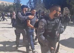 قوات الاحتلال الخاصة تعتدي على موظفي الأوقاف داخل المسجد الأقصى