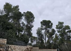 حالة الطقس: انخفاض ملموس على درجات الحرارة