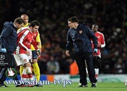 (عاجل) فابريجاس يغيب عن نهائيات كأس العالم 2010