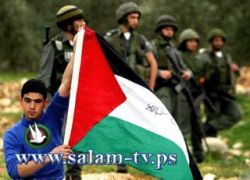 حلوى يا بابا من أولى المصالحة أم الشوكولاطة