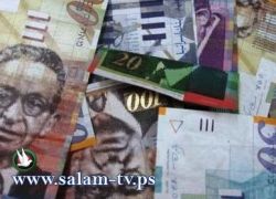 دولار 3.54 -يورو 4.72 -د.اردني 4.99 -ج.مصري 0.61 شيقل