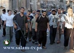 الاحتلال يمنع المزارعين من العمل في اراضيهم قرب مستوطنة افني حيفتس