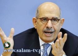 البرادعي يطالب بتغيير الدستور المصري ويعلن ترشحه للرئاسة