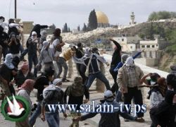 حراس المسجد الأقصى يحبطون محاولة اقتحام متطرف يهودي للمسجد