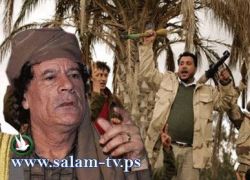 رئيس جنوب افريقيا سيلتقي بالقذافي في محاولة للوساطة