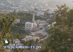 نظمتها وزارة الثقافة:لقاء شعري لمناسبة يوم الأرض في عنبتا