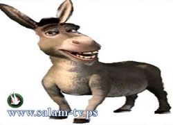 حمار أسترالي مولع بشرب الخمر!!