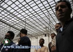 مطالبة فلسطينية بإعلان الجمعة القادمة يوما للمطالبة بالإفراج عن الأسرى