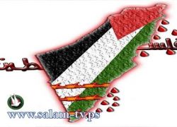 الإعلان عن انطلاق الحملة الأهلية لدعم عضوية فلسطين