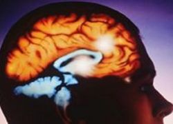 اختلاف تأثير التدخين على رؤوس الرجال والنساء