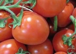 دراسة: الطماطم تساعد فى الوقاية من الإصابة بالسكتات الدماغية
