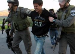 الاحتلال يعتقل فتى من نحالين غرب بيت لحم