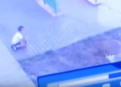 شاهد الفيديو : لقطات مؤلمة لطفل يسقط من نافذة حضانة