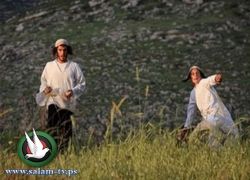 مستوطنون يهاجمون طانا بنابلس ويحتشدون قرب مستوطنة عيلي برام الله