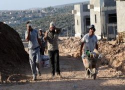 الاحتلال يصدر 10 آلاف تصريح للعمل في الداخل