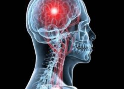 ماذا يحدث لجسم الإنسان عندما يكذب؟