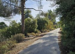 حالة الطقس: أجواء غائمة وباردة