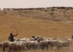 باكستان تؤكد استمرار جهود الوساطة لتحقيق السلام في الشرق الأوسط