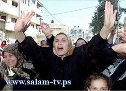 مستوطنيون يعتدون بالضرب المبرح على راعي اغنام جنوب نابلس