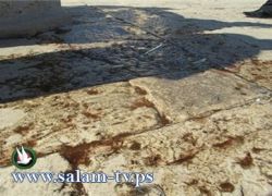 متطرفون يهود يكسرون زجاجة خمر في المسجد الأقصى