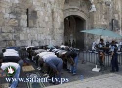 جماعات يهودية تعتزم تنظيم مسيرة استفزازية اليوم في محيط أسوار القدس والاقصى