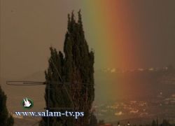 طولكرم - مناقشة مطالب الفتية والشباب من مؤسسات العمل الأهلي