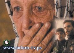 مقتل مخرج عربي اسرائيلي يعيش بمخيم جنين برصاص مجهولين