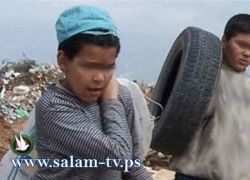الشرطة تضبط 15 طفلا يقومون بالعمل خلافا للقانون في طولكرم