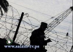 مصر تفرج اليوم عن 14 معتقلا فلسطينا في سجونها