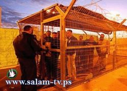 اعتقال فتاتين وطفل أثناء زيارتهم لذويهم في سجن ريمون