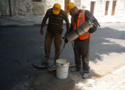 بلدية طولكرم تقوم بحملة لمكافحة البعوض والحشرات