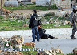 بالفيديو-كشف زيف ادعاءات الاحتلال-مستوطنون يحاولون حرق مسجد النبي صالح