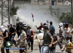 محامون دوليون يؤكدون دعمهم للفلسطينيين بمواجهة الاحتلال