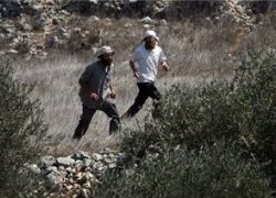 مستوطنون يهاجمون مركبات فلسطينية بالحجارة قرب مستوطنة يتسهار