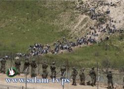 تنطلق الجمعة.. منظمو مسيرة القدس العالمية يؤكدون سلميتها