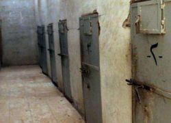 1183 لاجئا فلسطينيا معتقلا بسوريا
